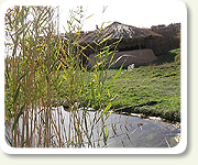 Bird Reserve & Park