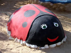 Project Lady Bug completed